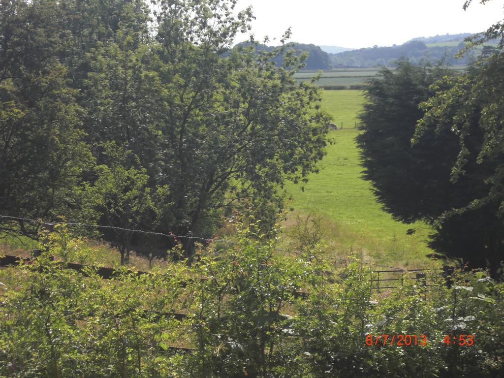 The Homestead Carnforth Exteriér fotografie